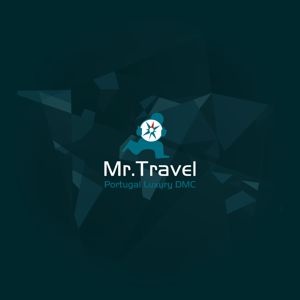 mr travel and tours
