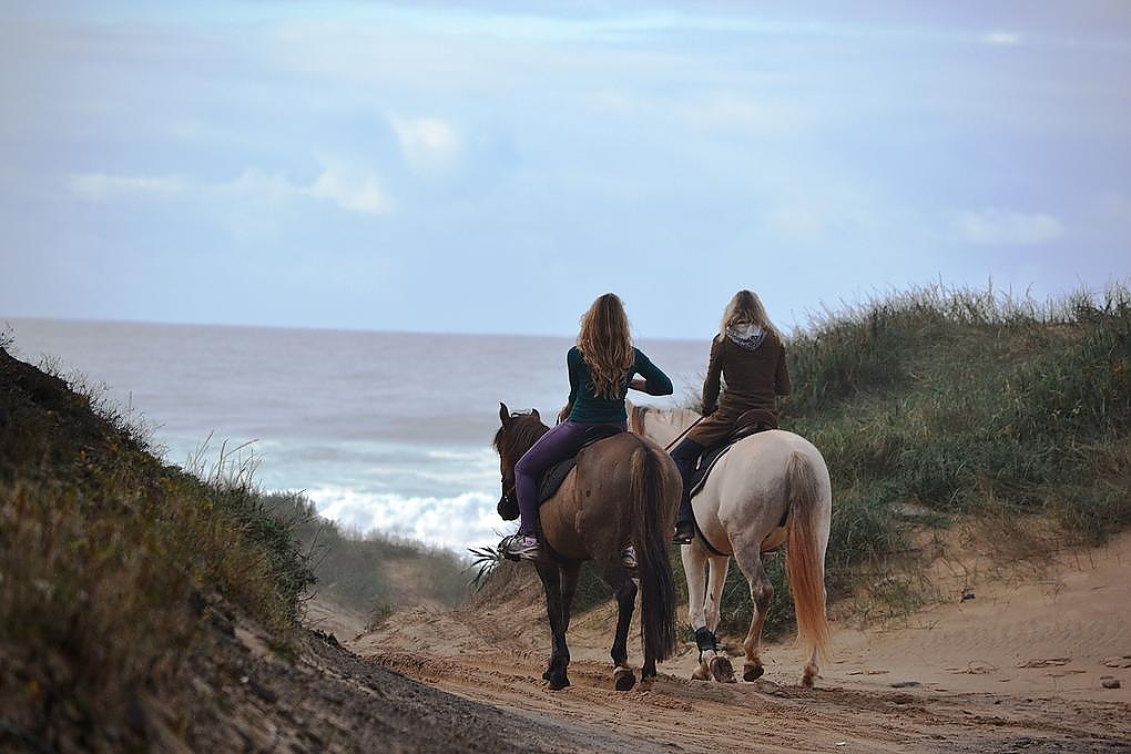 Horseriding Algarve, Find a Spot - Mr. Travel Portugal Luxury DMC